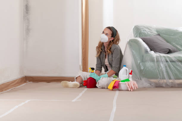 Reliable Mold Remediation contractor in Annapolis Junction, MD by WQB Mold Removal